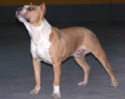 000_0227a.jpg
