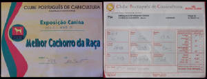 resolt.porto_05.jpg
